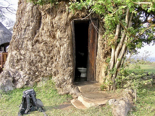toilet